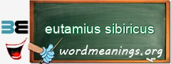 WordMeaning blackboard for eutamius sibiricus
